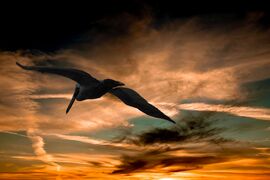 Take the courage to let your courage evolve…