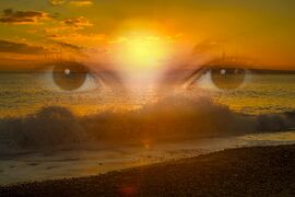 Take the courage to use the ability to focus…