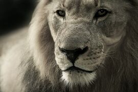 Take the courage to let your courage evolve…